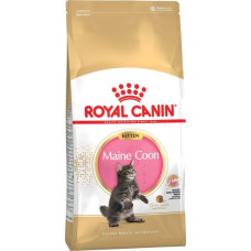 Royal Canin Maine Coon Kitten - dry cat food - 2 kg