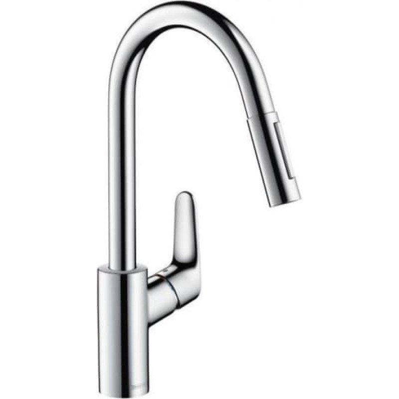 Hansgrohe Focus, 31815000