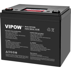 Vipow Akumulator LiFePO4 100Ah z BMS