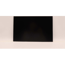 Lenovo DISPLAY LGD 13.3 WUXGA AG