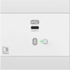 Audac AUDAC NWP400/W Sieciowy panel wejściowy audio - USB Type-C Wersja biała