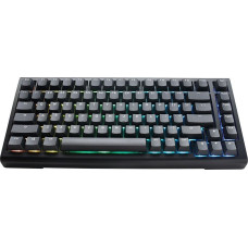 Ducky Klawiatura Ducky Ducky Tinker 75 Gaming Keyboard, RGB, black - MX-Blue (ANSI)