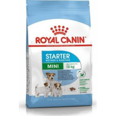 Royal Canin SHN Mini Starter M&B 8 kg