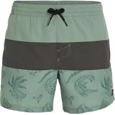 O Neill Męskie Szorty MIX & MATCH CALI BLOCK 15'' SWIM SHORTS