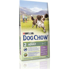 Purina Jagnięcina Dog Chow Adult 14kg