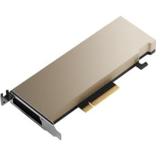 Nvidia Karta graficzna NVIDIA A2 16GB GDDR6 (900-2G179-0020-100)