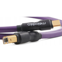 Melodika Kabel USB Melodika USB-C - USB-B 2.5 m Fioletowy (MELO-MDUCB25)