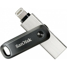 Sandisk USB Zibatmiņa SanDisk SDIX60N-256G-GN6NE Melns Sudrabains 256 GB