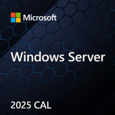 Microsoft SW OEM WIN SVR 2025 CAL/ENG 1PK 5CLT EP2-25243 MS