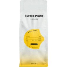 Coffee Plant - Kenia Nyeri Espresso 1kg