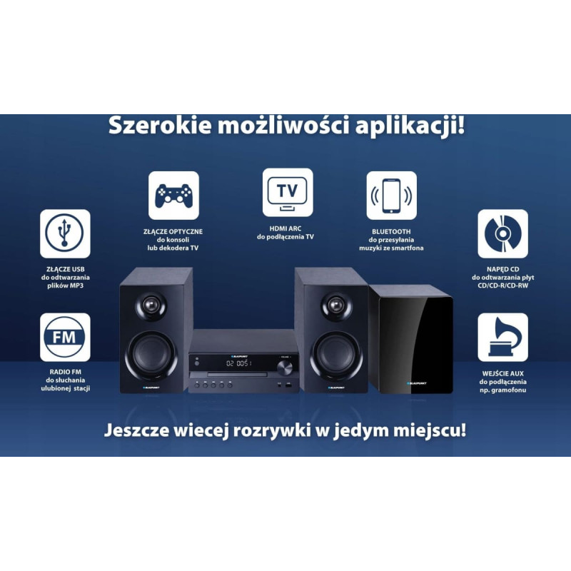 Blaupunkt MS55SUB Micro Receiver