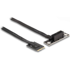 Delock - Schnittstellenadapter - PCIe 4.0 x1 (NVMe) - M.2 Card