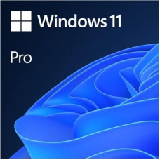 Microsoft (Oem) Microsoft Windows 11 Pro 1 license(s)