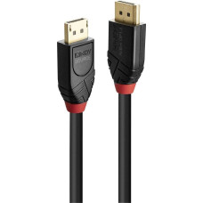 Lindy Kabel Lindy DisplayPort - DisplayPort 10m czarny (41169)